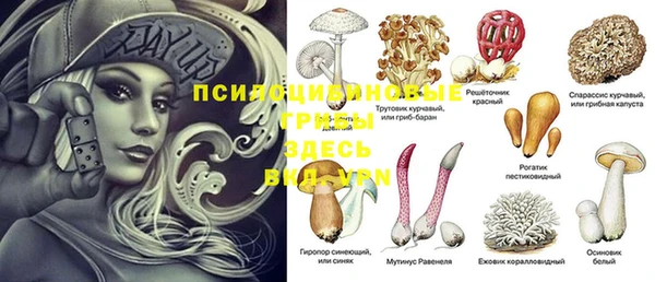 МДПВ Строитель